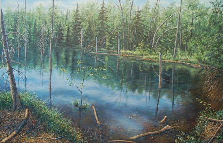 Swamp in Summer