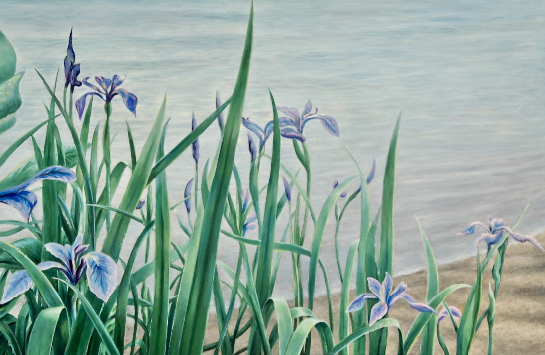 foAJIGA8TU+PTeWM+yF0YA_thumb_a7b5